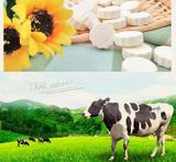 Bánh sữa bò Mông Cổ vị sữa truyền thống , vị sữa chua, vị phô mai, vị bọt sữa