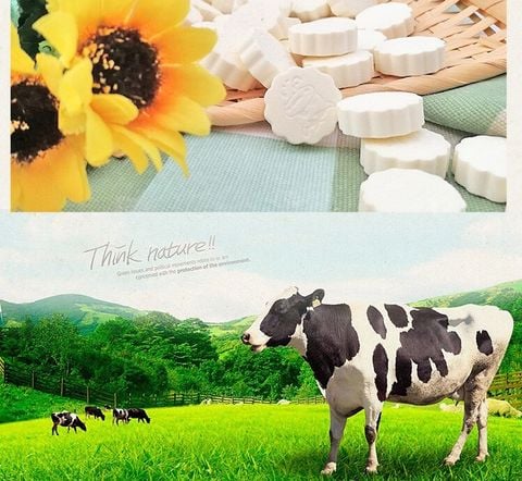Bánh sữa bò Mông Cổ vị sữa truyền thống , vị sữa chua, vị phô mai, vị bọt sữa