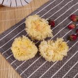 Nấm tuyết rừng Đông Tạng