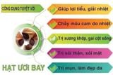 Hạt đười ươi bay rừng Quảng Nam