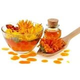 Trà hoa cúc kim tiền