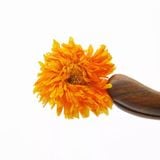 Trà hoa cúc kim tiền