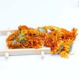 Trà hoa cúc kim tiền