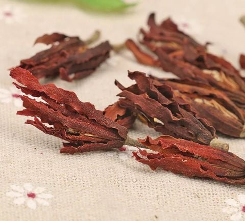 Trà hoa ngọc lan ( thiết mộc lan)