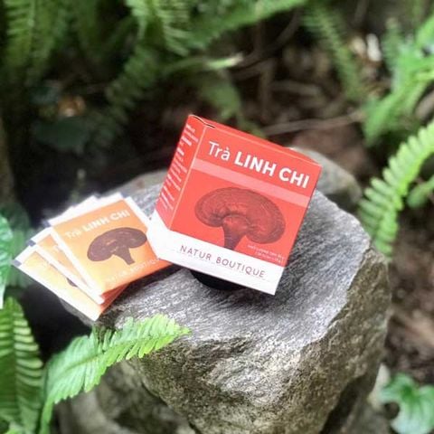 nam-linh-chi-tui-loc-6