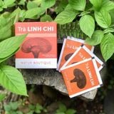 nam-linh-chi-tui-loc-7