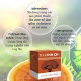 nam-linh-chi-tui-loc-8