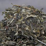 pho-nhi-bang-dong-tien-minh-6