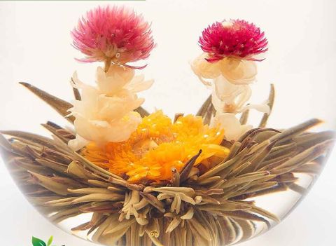 Trà nở hoa Tân Long Châu ( trà hoa nghệ thuật Blooming Tea)