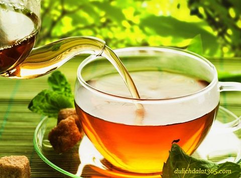 Trà atiso túi lọc Vĩnh Tiến 100 gói nhỏ