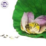 tra-hoa-sen-say-kho-7