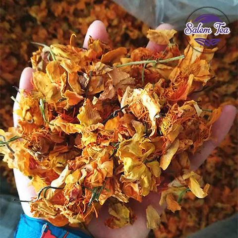 Trà hoa sen vàng Tây Tạng đặt trên tay