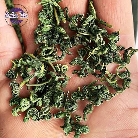 TRA-LA-SEN-HOA-VIEN-64