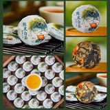 tra-van-nam-ngu-huong-10