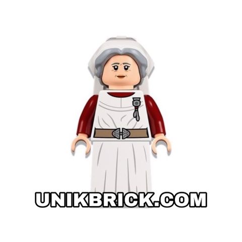  [ORDER ITEMS] LEGO Madam Poppy Pomfrey 