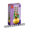 [HÀNG ĐẶT/ ORDER] LEGO 40588 Flowerpot
