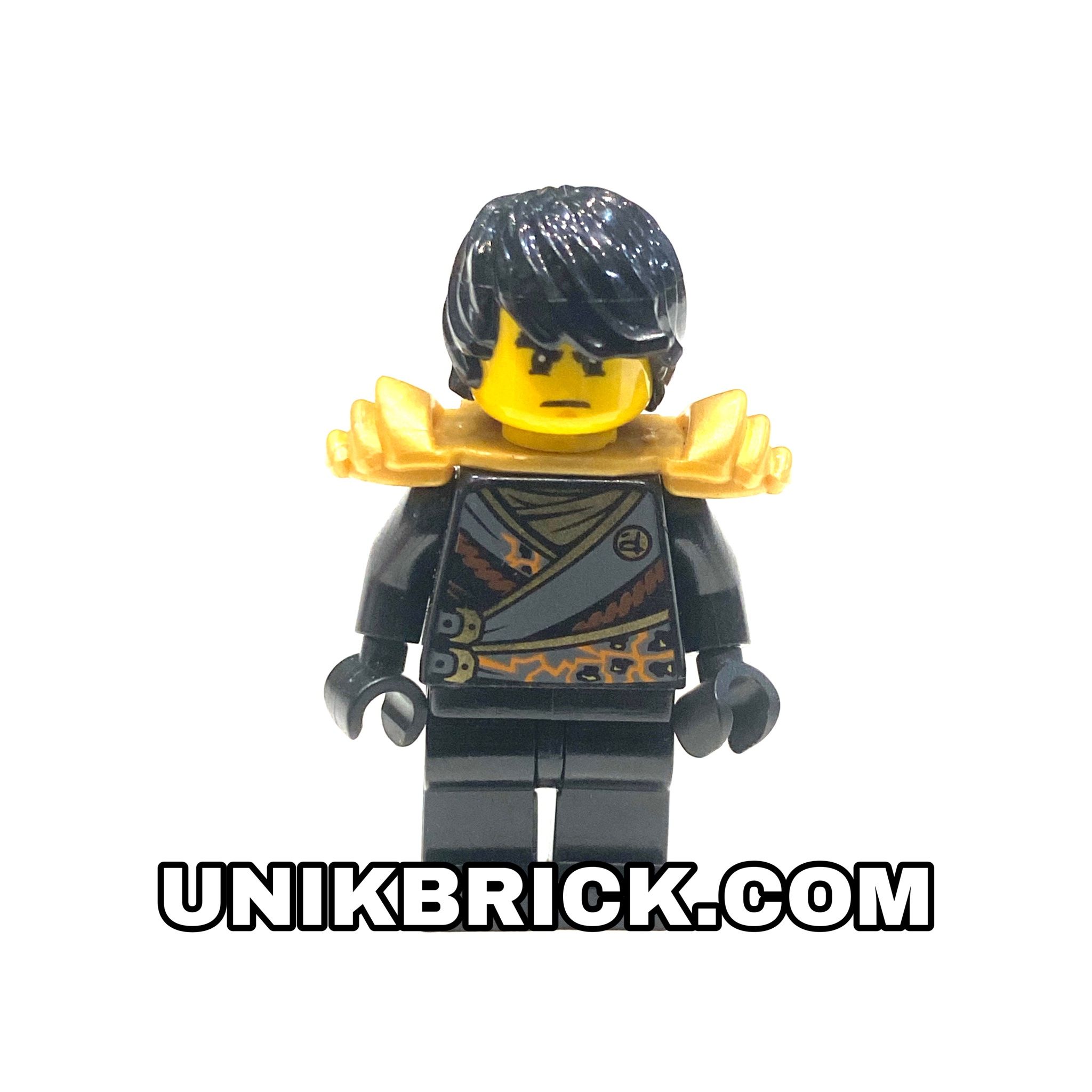 LEGO Ninjago Cole 11