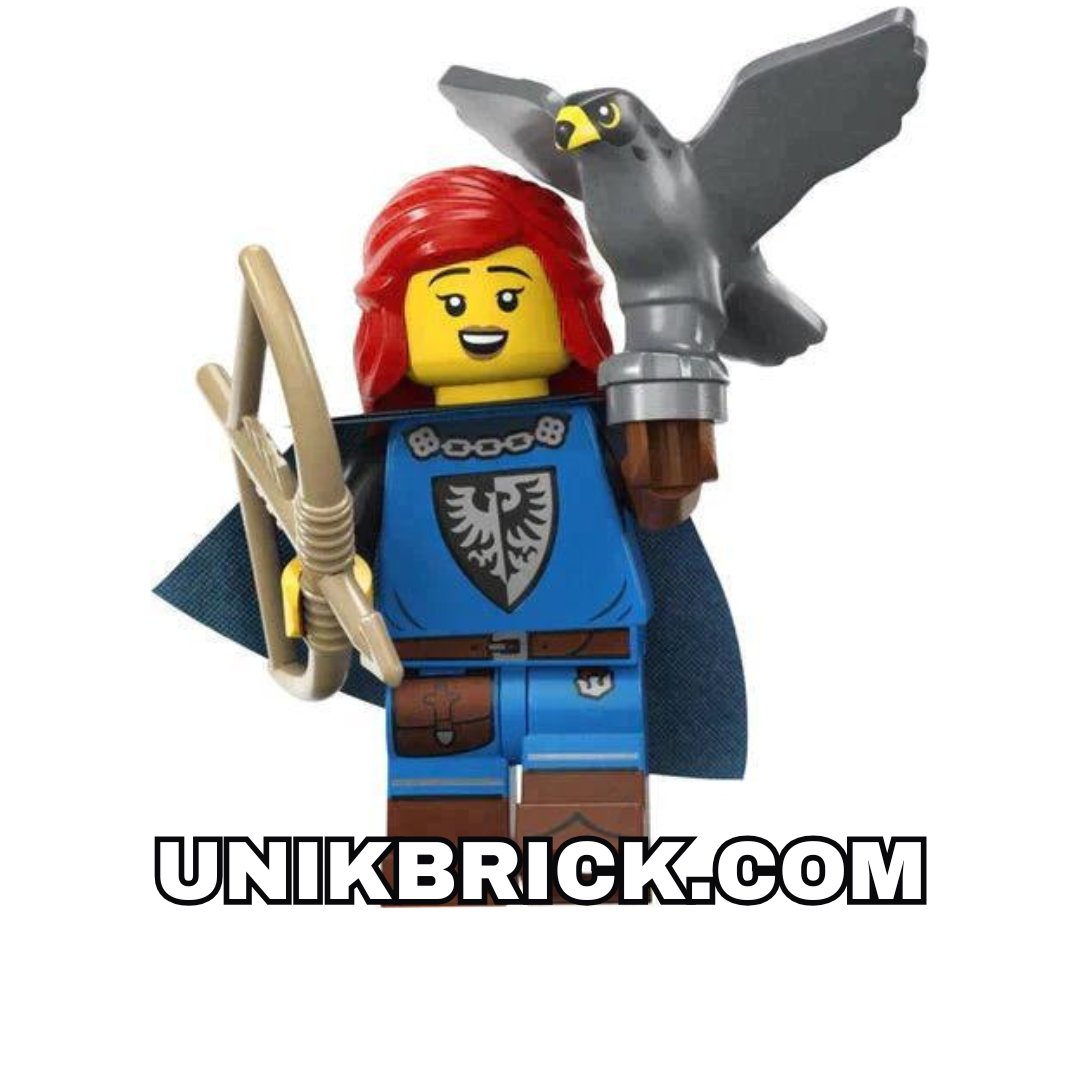 LEGO Falconer Series 24