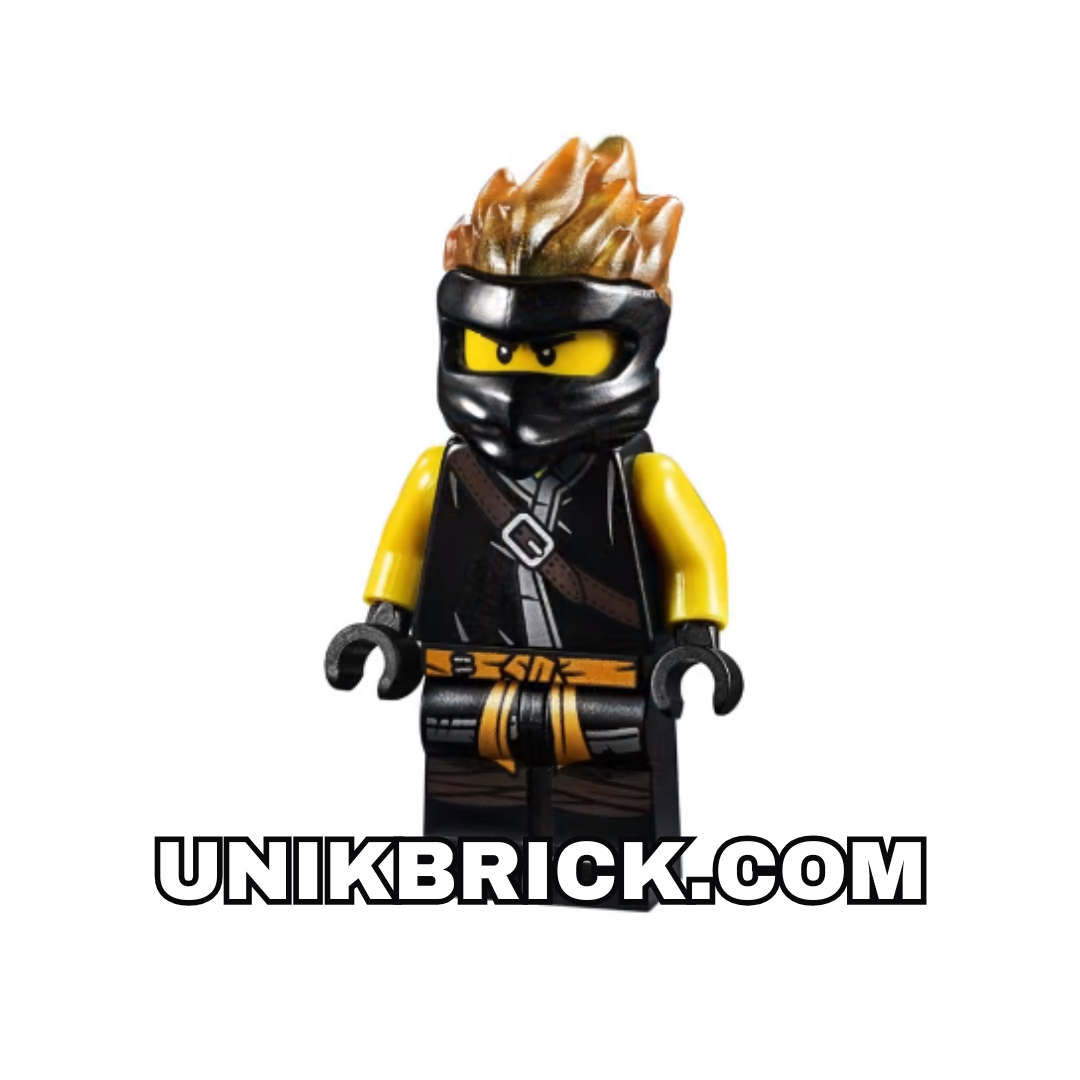 LEGO Ninjago Cole FS