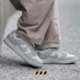 giay-nike-dunk-low-grey-fog-dd1391-103