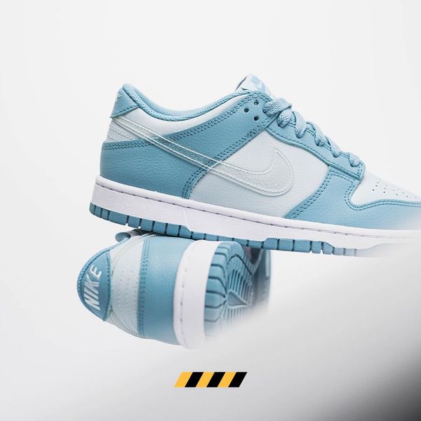 dh9765 401 nike