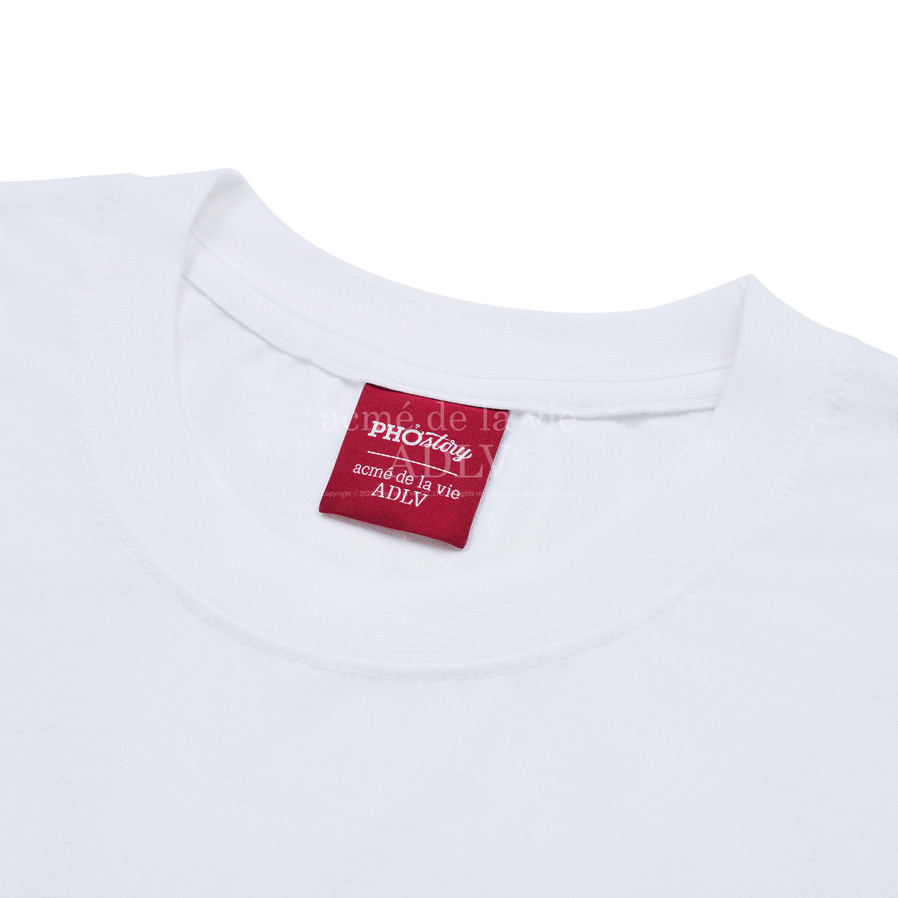  Áo thun ADLV - Acmé de la vie [PHO STORY] Basket Bear Short Sleeve T-Shirt White 