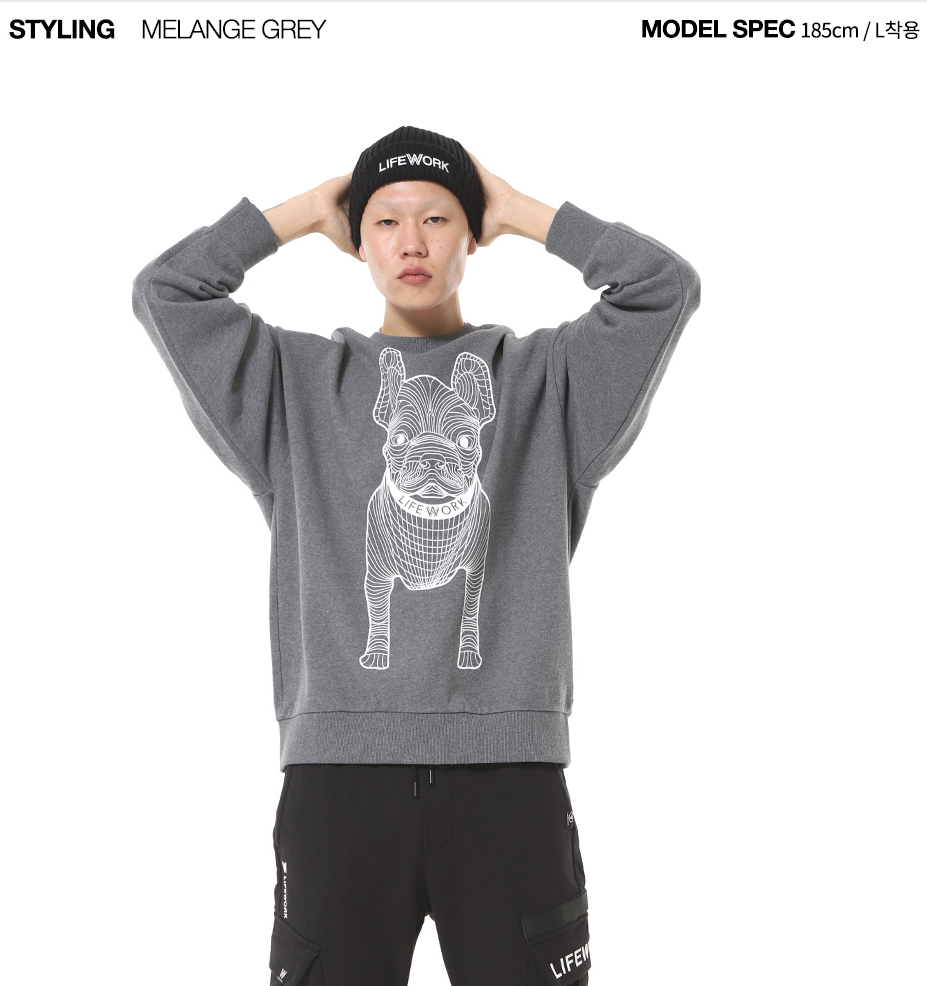  Áo Sweater Life Work - Radok Big Logo Short Sleeve SweatShirt - Grey 