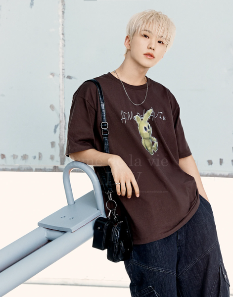 Áo thun ADLV - Acmé de la vie Retro Rabbit Brown – ADLV, NEWERA, MLB