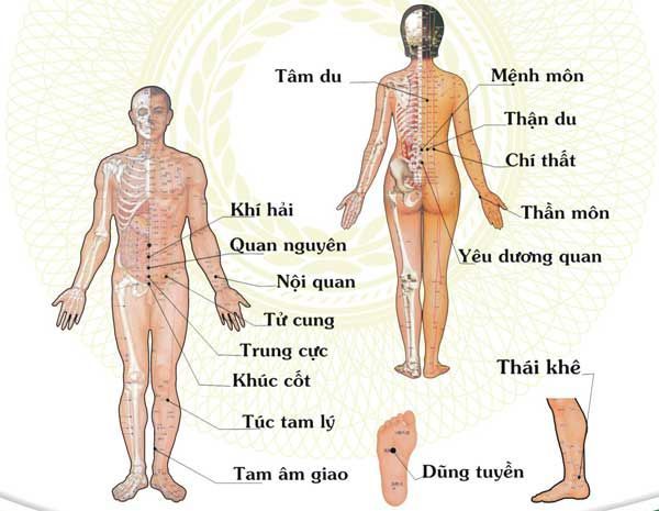 Xem 5 cách bấm huyệt chữa bệnh đau lưng dành cho dân văn phòng ( Tham Khảo)