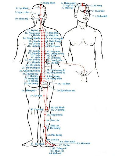 Xem Thêm Đông Y Huyệt Vị Kinh Lạc