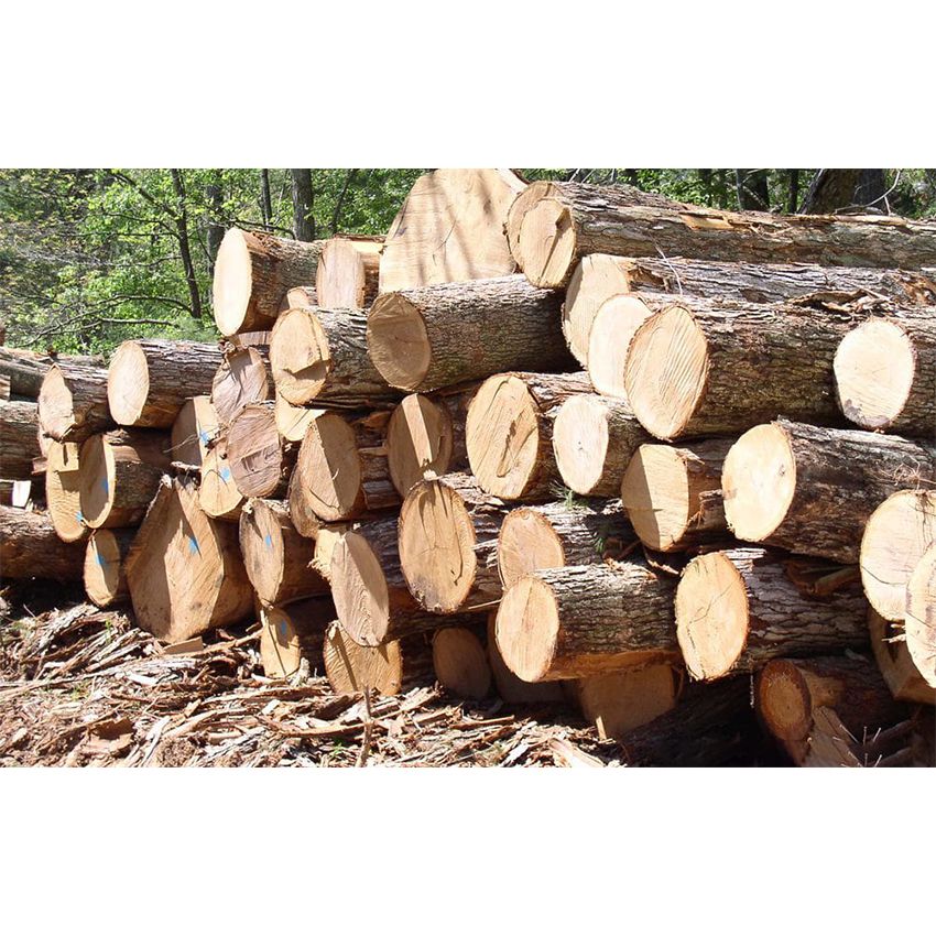 Gỗ Ghép Thông Và Những Điều Cần Biết Khi Lựa Chọn Nội Thất