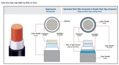 Dây cáp điện LS Vina