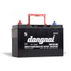 Ắc quy Đồng Nai 31S-800 12V 100AH