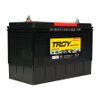 Ắc quy Troy 31S-800 12V 100AH