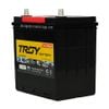 Ắc quy Troy 36B20L 12V 35AH