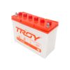 Ắc quy Troy N30 12V 30AH