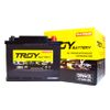 Ắc quy Troy DIN60L (DIN L2) 12V 60AH