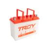 Ắc quy Troy N30 12V 30AH