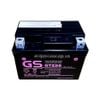 Ắc Quy GS GTZ5S 12V 3.5AH