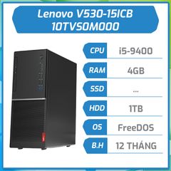 Máy Bộ  Lenovo V530-15ICB (i5 9400/4GB RAM/1TB HDD/K+M/DOS) (10TVS0M000)