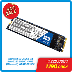 Ổ cứng gắn trong Western SSD 250Gb M2 Sata-2280 SN500 NVME WDS250G1B0C