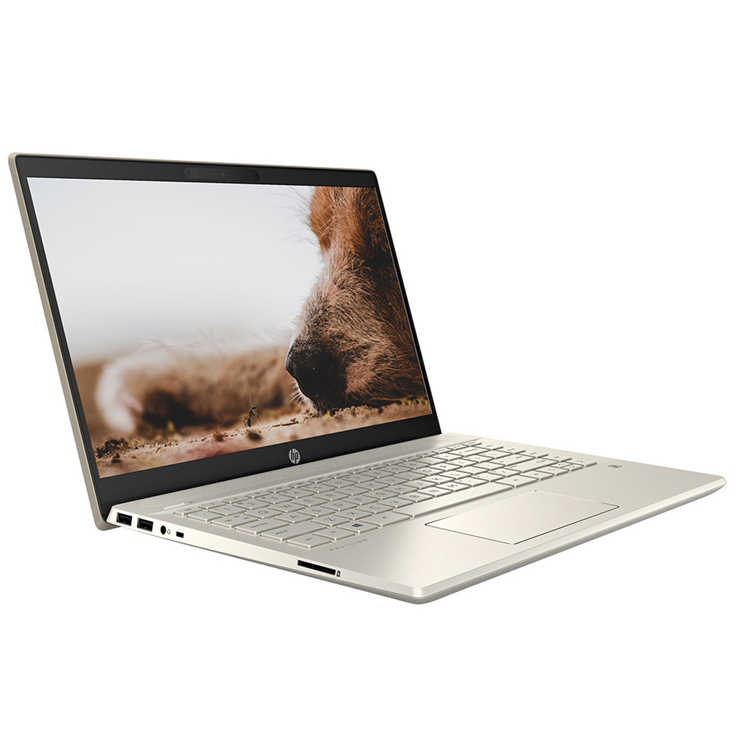 Laptop HP Pavilion 14-dv0013TU (i7-1165G7/8GB/512GB SSD/14''FHD/Win10+Office)