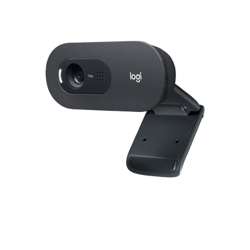 Webcam Logitech C505E