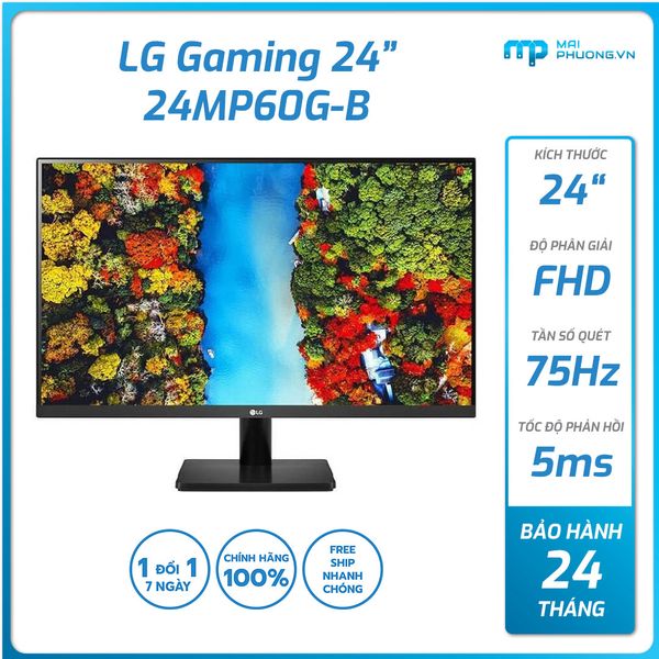 Màn Hình LG 24MP60G-B (24 inch IPS/FHD/75Hz/5ms/VGA+ HDMI+Display-Port/24 tháng)