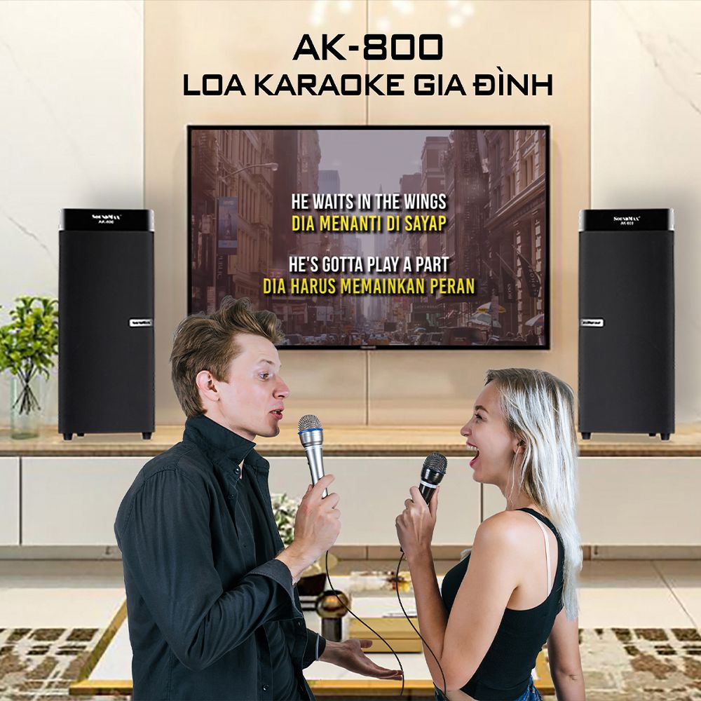 Loa Soundmax AK-800