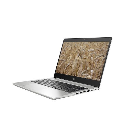 Laptop HP ProBook 445 G6-6XQ03PAR5-2500U/8GB/256GB SSD/Radeon Vega 8/Free DOS/1.5 kg