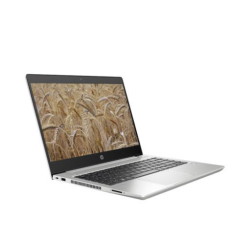 Laptop HP ProBook 445 G6-6XQ03PAR5-2500U/8GB/256GB SSD/Radeon Vega 8/Free DOS/1.5 kg