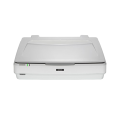 Máy quét ảnh 13000XL (B11B257502)