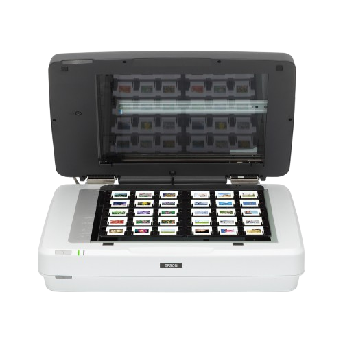 Máy quét ảnh 13000XL (B11B257502)