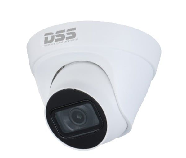 Thiết bị quan sát Camera IP Dome hồng ngoại 4.0 Megapixel DAHUA DS2431TDIP-S2